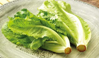 生菜吃多了有什么危害（生菜吃多了有什么危害和好处）