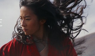 花木兰真人版原版电影介绍（花木兰真人版原版电影介绍视频）