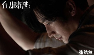 在劫难逃网剧原著小说是什么 在劫难逃原著小说叫什么在哪可以看