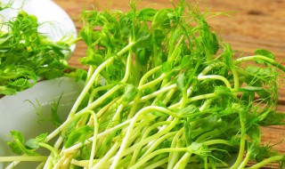 无须豌豆苗种植方法（无须豌豆苗种植方法图解）