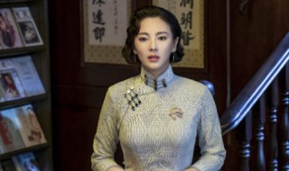 旗袍美探张雨绮扮演的角色（旗袍美探张雨绮扮演的角色有哪些）