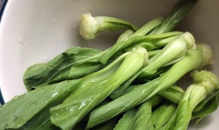 猴菇炒青菜怎么做（猴菇炒青菜怎么做视频）