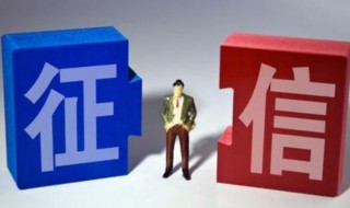 个人信用报告查询后怎么看（个人信用报告出来了怎么看）