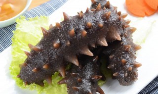 鲜冻的海参怎么处理（冻得鲜海参怎么处理）