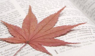 减肥励志的句子 减肥励志的句子发朋友圈