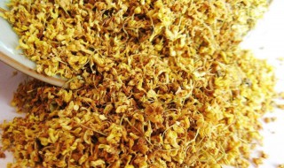 桂花酒的功效与作用 青梅酒跟桂花酒的功效与作用