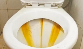马桶壁污垢怎么去除（马桶壁污垢怎么去除妙招）