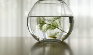秋分后钓鱼技巧 秋分钓鱼技巧 秋分时节怎样钓鱼