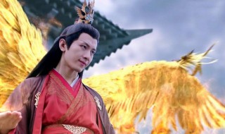 司凤的真实身份是什么 琉璃中禹司凤的真实身份是什么