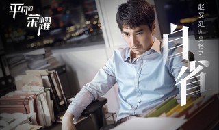 平凡的荣耀的主要演员 平凡的荣耀演员介绍