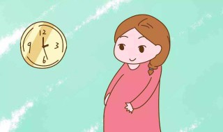 怎样数胎动 孕晚期怎样数胎动