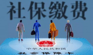 如何查询社保缴费情况 上海如何查询社保缴费情况