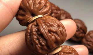 盘核桃的方法与技巧（盘核桃的方法与技巧上色）
