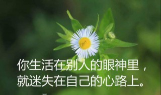人生感言短句（人生感言短句适合发朋友圈）