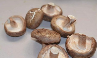 菘茸怎么保存（冷冻的菘茸怎么处理）