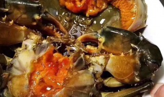 青膏蟹该怎么保存（青膏蟹该怎么保存呢）