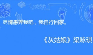 尽情愚弄我吧我自行回家是什么歌（尽情愚弄我吧我自行回家是什么歌名）