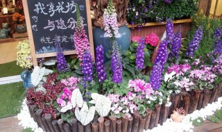 新手如何开花店（新手如何开花店要学花艺么）