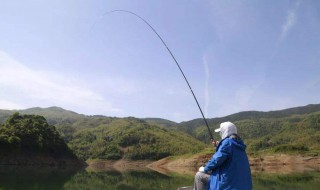 深水如何做钓黄尾（深水如何做钓黄尾鲤鱼）