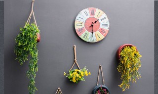 如何做挂壁式花盆 如何做挂壁式花盆视频