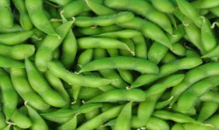毛豆的怎么保存方法 毛豆如何保存方法