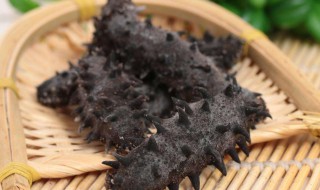 什么样的海参好呀（什么样的海参好呀）