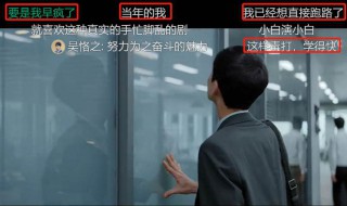 孙奕秋什么关系进公司（平凡的荣耀孙奕秋什么关系进公司）