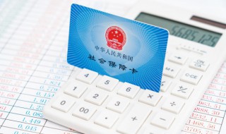 社保缴费怎么查询（社保缴费怎么查询个人账户）