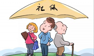 怎样查社保交了多少年（怎样查社保交了多少年明细）