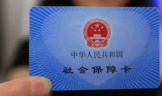 灵活就业社保怎么交（灵活就业社保怎么交不上）