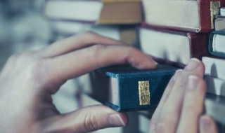 电极箔是什么东西 电极箔是什么东西做的