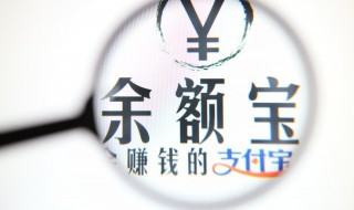 怎样登录支付宝主页 怎样登录支付宝主页页面