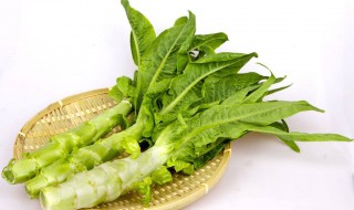 种莴笋小技巧（种莴笋小技巧有哪些）