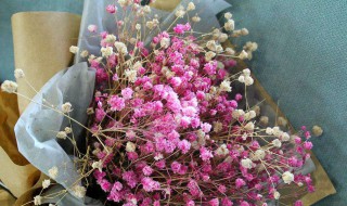 干花做了怎么保存（干花做了怎么保存不变色）