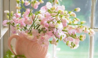 鲜花怎么保存更长 鲜花怎么保存更长久没有保鲜剂