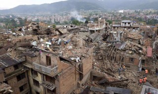 地震前的预兆 蚂蚁地震前的预兆