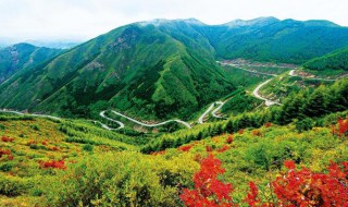 六盘山在哪里在什么省（六盘山是哪儿的）