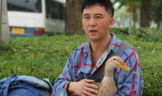 福根进城剧情介绍 福根进城剧情介绍百度百科