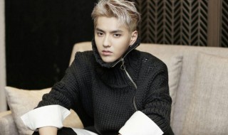 吴亦凡资料简介 吴亦凡个人简历资料