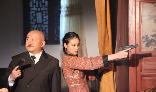 代号电视剧剧情介绍（代号山豹电视剧剧情介绍）