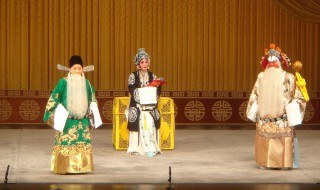 二进宫剧情介绍（大保国探皇陵二进宫剧情介绍）