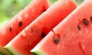 夏天解暑方法 夏天解暑方法图片