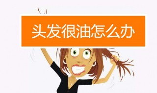 头发出油怎么办好（头发出油怎么治疗百度知道）