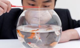 绑鱼嘴的方法 绑鱼嘴的方法有哪些