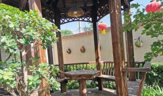 庭院驱鸟的方法（庭院如何驱鸟最有效）