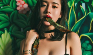 绿茶女什么意思 绿茶女什么意思网络用语明星解释