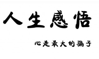人生感悟经典格言（40句人生感悟经典格言）