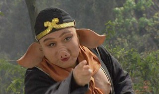 八戒都哪八戒呢（八戒有哪八戒）