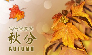秋分节气的含义 秋分节气的含义是什么意思