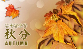 秋分象征着什么 秋分象征着什么精神